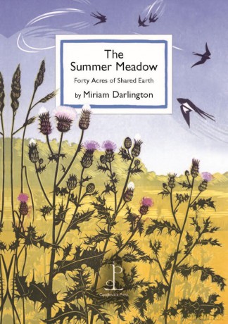 The Summer Meadow: Forty Acres of Shared Earth - Miriam Darlington [KSIĄŻKA]