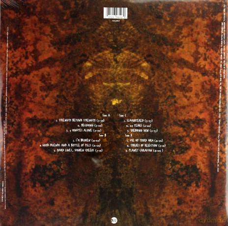 Pantera: Far Beyond Driven - 20th Anniversary [2xWINYL]