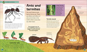The Very Hungry Caterpillar's Very First Animal Encyclopedia: An Introduction to Animals, For VERY Hungry Young Minds (The Very Hungry Caterpillar Encyclopedias) - Dk [KSIĄŻKA]