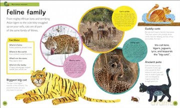 The Very Hungry Caterpillar's Very First Animal Encyclopedia: An Introduction to Animals, For VERY Hungry Young Minds (The Very Hungry Caterpillar Encyclopedias) - Dk [KSIĄŻKA]