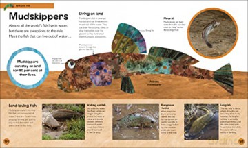 The Very Hungry Caterpillar's Very First Animal Encyclopedia: An Introduction to Animals, For VERY Hungry Young Minds (The Very Hungry Caterpillar Encyclopedias) - Dk [KSIĄŻKA]