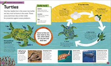 The Very Hungry Caterpillar's Very First Animal Encyclopedia: An Introduction to Animals, For VERY Hungry Young Minds (The Very Hungry Caterpillar Encyclopedias) - Dk [KSIĄŻKA]