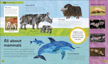 The Very Hungry Caterpillar's Very First Animal Encyclopedia: An Introduction to Animals, For VERY Hungry Young Minds (The Very Hungry Caterpillar Encyclopedias) - Dk [KSIĄŻKA]