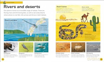 The Very Hungry Caterpillar's Very First Animal Encyclopedia: An Introduction to Animals, For VERY Hungry Young Minds (The Very Hungry Caterpillar Encyclopedias) - Dk [KSIĄŻKA]