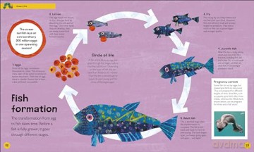 The Very Hungry Caterpillar's Very First Ocean Encyclopedia: An Introduction to the Ocean, for Very Hungry Young Minds (The Very Hungry Caterpillar Encyclopedias) - Dk [KSIĄŻKA]