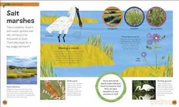 The Very Hungry Caterpillar's Very First Ocean Encyclopedia: An Introduction to the Ocean, for Very Hungry Young Minds (The Very Hungry Caterpillar Encyclopedias) - Dk [KSIĄŻKA]