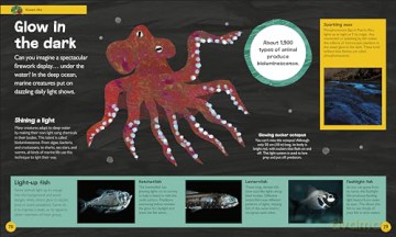 The Very Hungry Caterpillar's Very First Ocean Encyclopedia: An Introduction to the Ocean, for Very Hungry Young Minds (The Very Hungry Caterpillar Encyclopedias) - Dk [KSIĄŻKA]