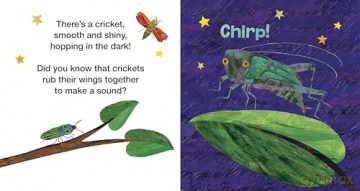 The Very Lonely Firefly's Nighttime Friends: A Touch-and-Feel Book (World of Eric Carle; Touch-and-feel Books) - Eric Carle [KSIĄŻKA]