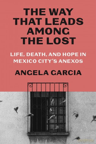 The Way That Leads Among the Lost: Life, Death, and Hope in Mexico City's Anexos - Angela Garcia [KSIĄŻKA]