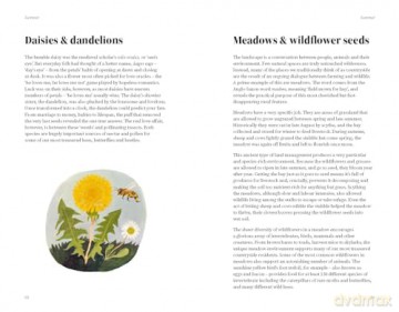 The Wildlife Year: How to Reconnect with Nature Through the Seasons - Sally Coulthard [KSIĄŻKA]