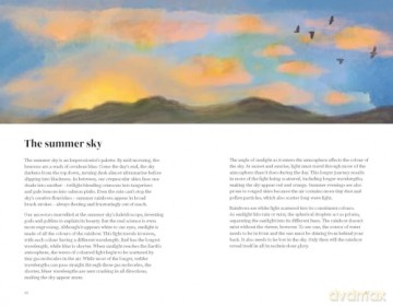 The Wildlife Year: How to Reconnect with Nature Through the Seasons - Sally Coulthard [KSIĄŻKA]