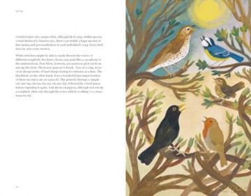 The Wildlife Year: How to Reconnect with Nature Through the Seasons - Sally Coulthard [KSIĄŻKA]