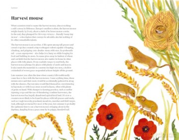 The Wildlife Year: How to Reconnect with Nature Through the Seasons - Sally Coulthard [KSIĄŻKA]