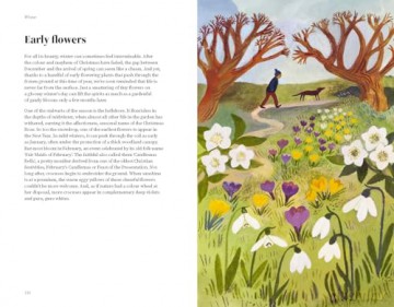 The Wildlife Year: How to Reconnect with Nature Through the Seasons - Sally Coulthard [KSIĄŻKA]