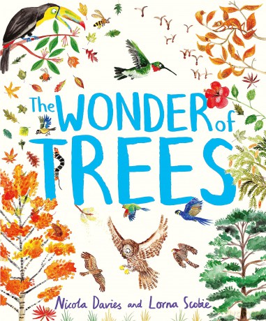 The Wonder of Trees - Nicola Davies [KSIĄŻKA]