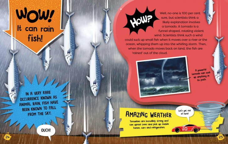The Wow and How of Weather - Franklin Watts [KSIĄŻKA]