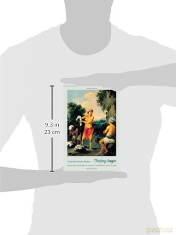 Thiefing Sugar: Eroticism between Women in Caribbean Literature (Perverse Modernities: A Series Edited by Jack Halberstam and Lisa Lowe) - Omise Eke Tinsley [KSIĄŻKA]