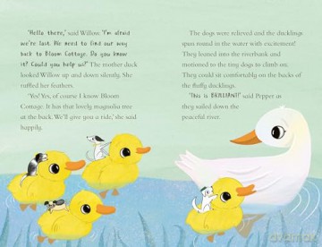 Tiny Dogs: The Lost School Pet (Tiny Dogs, 2) - Rose Lihou [KSIĄŻKA]