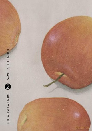 Tokyo These Days, Vol. 2: Viz Signature Edition: Volume 2 - Taiyo Matsumoto [KOMIKS]