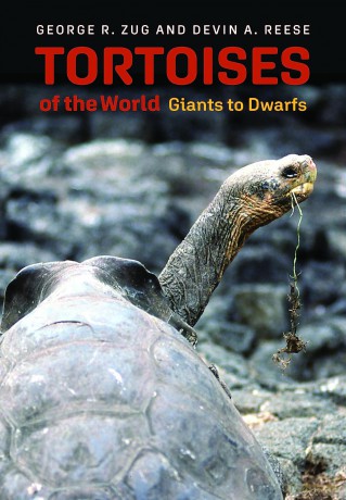 Tortoises of the World: Giants to Dwarfs - George R Zug [KSIĄŻKA]