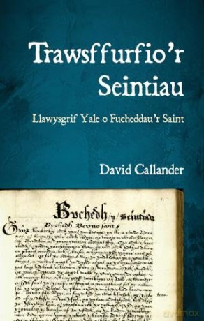 Trawsffurfio'r Seintiau: Llawysgrif Yale o Fucheddau'r Saint - David Callander [KSIĄŻKA]