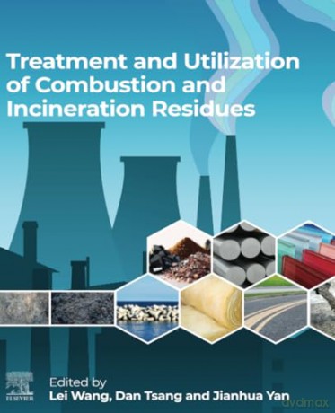 Treatment and Utilization of Combustion and Incineration Residues - Lei Wang [KSIĄŻKA]