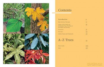 Tree Book, The: Superior Selections for Landscapes, Streetscapes, and Gardens - Michael Dirr [KSIĄŻKA]