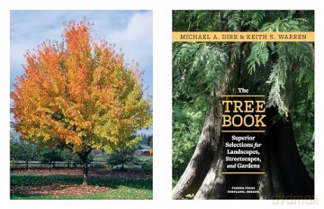 Tree Book, The: Superior Selections for Landscapes, Streetscapes, and Gardens - Michael Dirr [KSIĄŻKA]