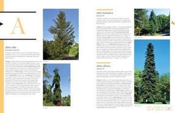 Tree Book, The: Superior Selections for Landscapes, Streetscapes, and Gardens - Michael Dirr [KSIĄŻKA]