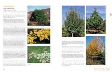 Tree Book, The: Superior Selections for Landscapes, Streetscapes, and Gardens - Michael Dirr [KSIĄŻKA]