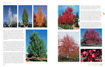 Tree Book, The: Superior Selections for Landscapes, Streetscapes, and Gardens - Michael Dirr [KSIĄŻKA]