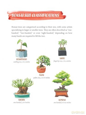 Tree Collectors: Tales of Arboreal Obsession, The - Amy Stewart [KSIĄŻKA]