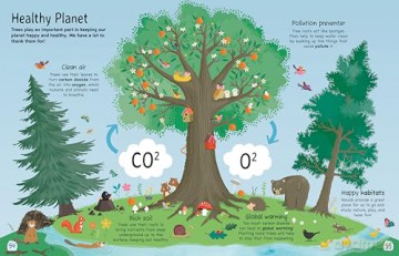 Tree: Explore the Extraordinary World of Trees: 1 - Olivia Watson [KSIĄŻKA]