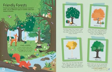 Tree: Explore the Extraordinary World of Trees: 1 - Olivia Watson [KSIĄŻKA]