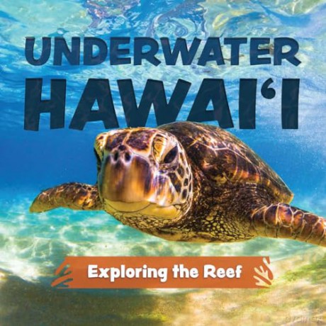 Underwater Hawai'i: Exploring the Reef: A Children's Picture Book about Hawai'i - Keith Riegert [KSIĄŻKA]