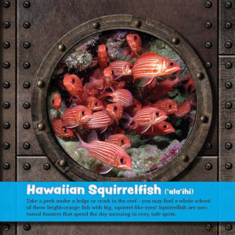 Underwater Hawai'i: Exploring the Reef: A Children's Picture Book about Hawai'i - Keith Riegert [KSIĄŻKA]