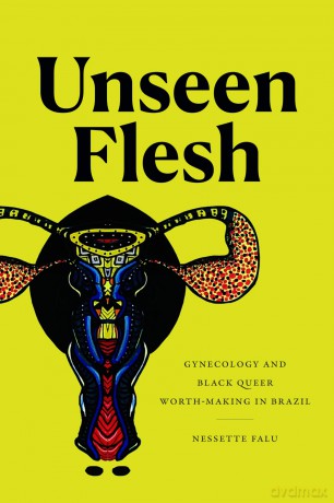 Unseen Flesh: Gynecology and Black Queer Worth-Making in Brazil - Nessette Falu [KSIĄŻKA]