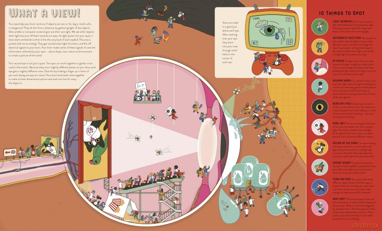 Up Close and Incredible: Human Body: An Interactive Adventure with a 3× Magnifying Glass (1) - Isabel Thomas [KSIĄŻKA]