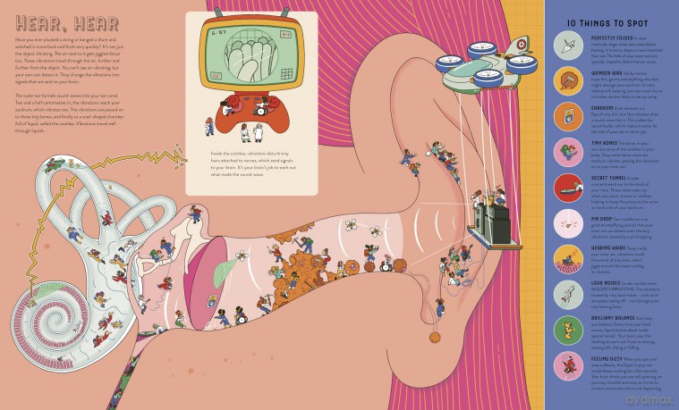 Up Close and Incredible: Human Body: An Interactive Adventure with a 3× Magnifying Glass (1) - Isabel Thomas [KSIĄŻKA]