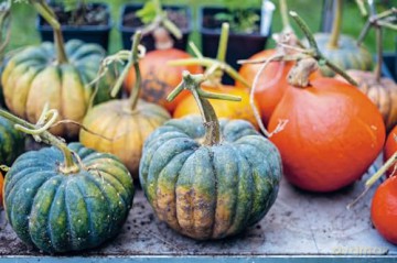 Vegetables: Easy and Inventive Vegetarian Suppers - Mark Diacono [KSIĄŻKA]
