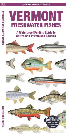 Vermont Freshwater Fishes: A Waterproof Folding Guide to Native and Introduced Species (Pocket Naturalist Guide) - Waterford Press [KSIĄŻKA]