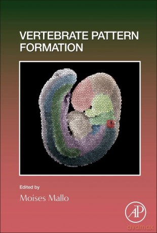 Vertebrate Pattern Formation (Volume 159) (Current Topics in Developmental Biology, Volume 159) - Moises Mallo [KSIĄŻKA]
