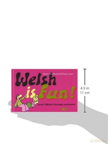 Welsh is Fun!: A New Course in Spoken Welsh for the Beginner - Heini Gruffudd [KSIĄŻKA]
