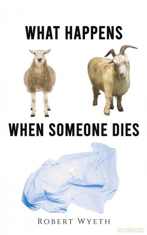 What Happens When Someone Dies - Robert Wyeth [KSIĄŻKA]