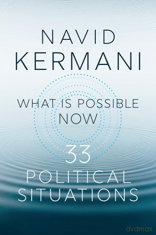What is Possible Now: 33 Political Situations [KSIĄŻKA]
