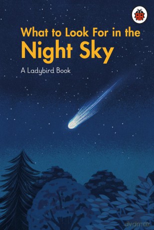What to Look For in the Night Sky (A Ladybird Book) - Laydbird [KSIĄŻKA]