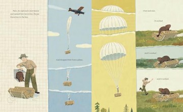 When Beavers Flew: An Incredible True Story of Rescue and Relocation - Kristen Tracy [KSIĄŻKA]