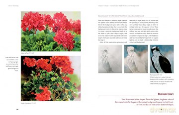 White! Light! Bright!: How to Make Your Backgrounds Support and Enhance Your Watercolor Paintings - Bivenne Har Staiger [KSIĄŻKA]