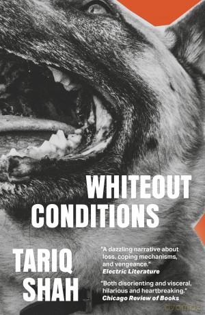 Whiteout Conditions - Tariq Shah [KSIĄŻKA]