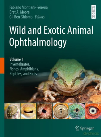 Wild and Exotic Animal Ophthalmology: Volume 1: Invertebrates, Fishes, Amphibians, Reptiles, and Birds - F Montiani-Ferreira [KSIĄŻKA]